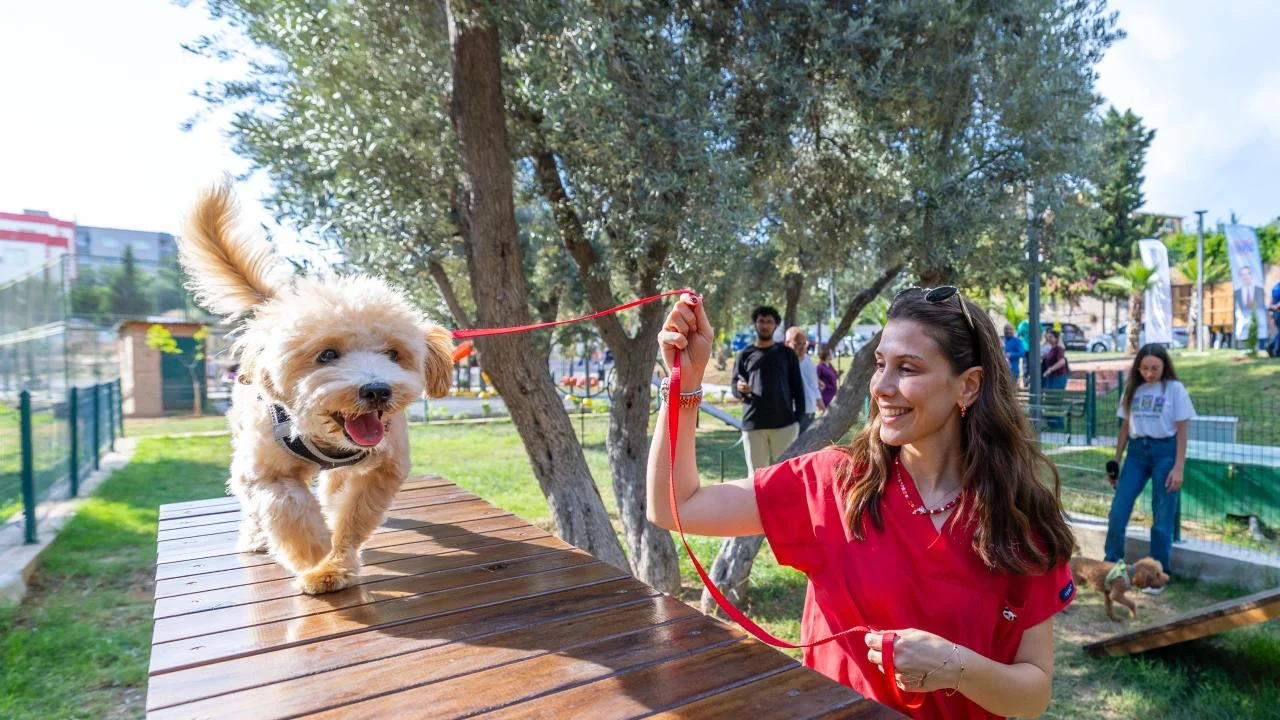 Yenişehir Belediyesinden patili dostlara özel park