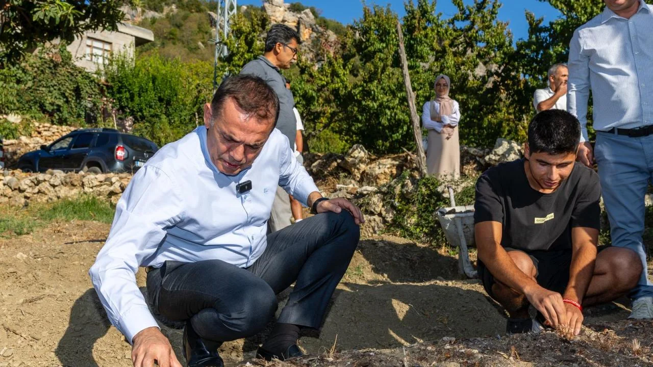 Yenişehir Belediyesinin hibe ettiği safran soğanları toprakla buluştu